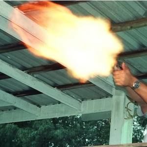 Meet your Posher, Phil